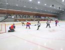 hc orli  chotebor  