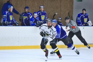 orli vm   