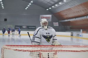 orli vm   