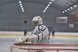 orli vm   