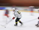 hc orli telc