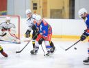 hc orli telc