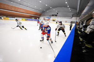hc orli telc
