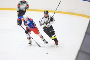 hc orli telc
